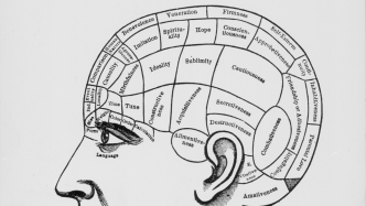 王旭讀《腦》｜腦不是“創(chuàng)世神”，而是“關(guān)系器官”