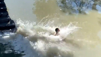 “反正我會(huì)游泳，順手的事”，收件路上發(fā)現(xiàn)有人落水，快遞員跳水救人