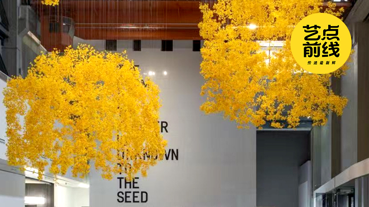 No·105 艺点前线|走进第十五届上海双年展