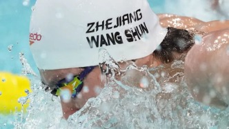 汪順獲得全運會男子200米個人混合泳金牌