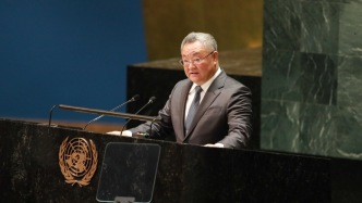 中國(guó)常駐聯(lián)合國(guó)代表傅聰：個(gè)別大國(guó)慎用否決權(quán)