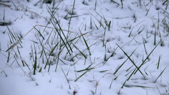 寒潮大舉入侵，中國大部地區(qū)將進(jìn)入“速凍”模式