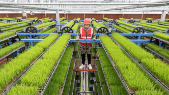 《求是》雜志發(fā)表習(xí)近平總書記重要文章《因地制宜發(fā)展新質(zhì)生產(chǎn)力》