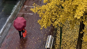 寒潮藍色預警：未來三天我國中東部地區(qū)將出現(xiàn)大風降溫天氣
