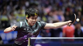 王楚钦战胜袁励岑，获得全运会乒乓球男单铜牌