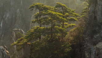 建筑與城鄉(xiāng)規(guī)劃學(xué)家、清華大學(xué)教授左川逝世，享年82歲