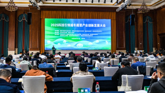 从90%靠进口到70%用国产，我国越冬甘蓝打赢“种子翻身仗”