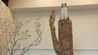 混合与共生：科恰的植物哲学