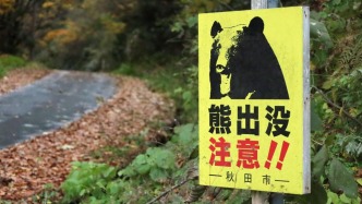 日本環(huán)境?。航衲?0月共有88人遭熊襲擊