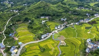 30詞讀懂五年規(guī)劃丨如何理解農(nóng)業(yè)農(nóng)村現(xiàn)代化關(guān)系中國式現(xiàn)代化全局和成色？