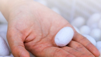 七部門：開展繭絲綢產(chǎn)業(yè)“東綢西固”，支持企業(yè)參加米蘭時裝周等