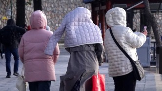 城事｜多地氣溫大跳水，誰是寒風(fēng)中的保暖王者？