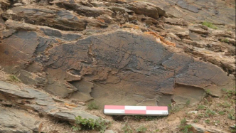 昆仑山铭与学科裂谷：跨学科与人文学的再自省