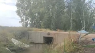 高標準農(nóng)田項目毀壞國家級自然保護區(qū)內(nèi)防護林？警方已立案