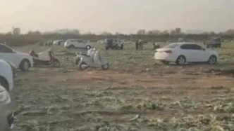 馬上評(píng)｜“免費(fèi)采撿白菜”鬧劇查清，誰該汲取教訓(xùn)