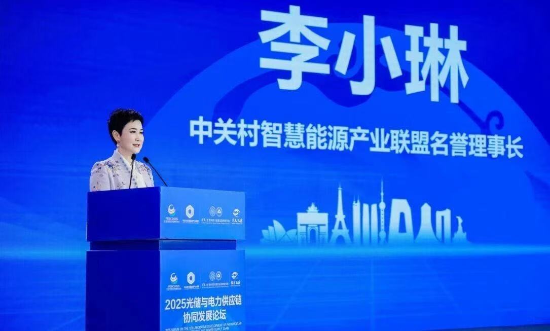 李小琳,中国光储供应链迎来前所未有的发展机遇期