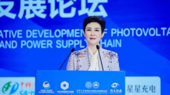 李小琳：中國光儲供應(yīng)鏈正迎接著前所未有的發(fā)展機遇