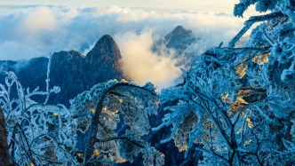 第1現(xiàn)場｜黃山入冬：霧凇云海日出 “三景同框”