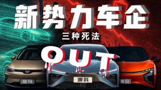 新勢力“敗犬組”是怎么涼的？