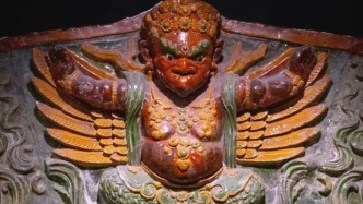 一只神鳥的“鳥設(shè)”本土化運(yùn)營