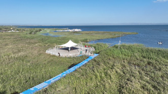 中國林草行動(dòng)亮相COP30，助力全球碳中和