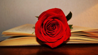 因協(xié)商變更合同主播擅自停播，主播過錯對違約金調(diào)減有何影響？