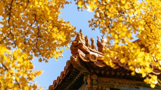 用改革疏浚發(fā)展的航道（評論員觀察）