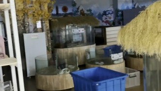 市民称“店家跑路留下一屋动物没水没粮”？商场：有定时喂养，已联系店方尽快解决