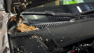 車主反映新車停車庫遭污水淋泡，武漢盤龍城萬達廣場：系小區(qū)管理界面，相關單位正處理