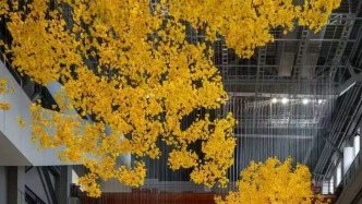 觀展｜上海雙年展有哪些亮點？