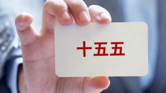 楊偉民：完善收入分配制度應(yīng)該在“十五五”時期取得重大突破