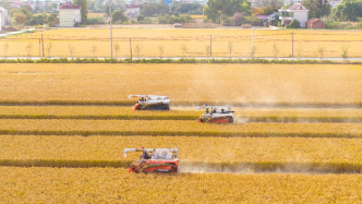 456億元！中央財政提前下達(dá)2026年農(nóng)業(yè)保險保費(fèi)補(bǔ)貼預(yù)算