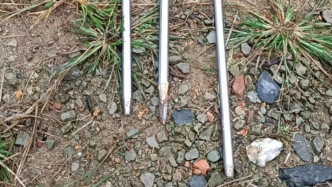 “今日殺豬，明日傷人”？媒體：遏制“天降殺機(jī)”刻不容緩