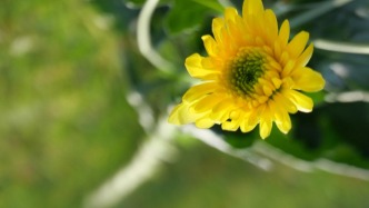 神經(jīng)病學(xué)專家、上海仁濟(jì)醫(yī)院神經(jīng)內(nèi)科原科主任蔡琰逝世，享年94歲