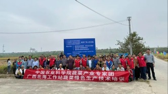 中國農(nóng)科院專家團赴北海開展災(zāi)后蔬菜生產(chǎn)技術(shù)培訓(xùn)