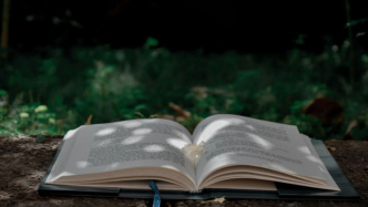 編劇屬根本違約方，為何解除合同能被支持？