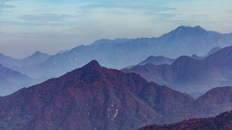 張若愚讀《人類世的宇宙論》｜你為何對山川的低語置若罔聞？