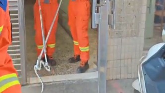 桌下露出劇毒銀環(huán)蛇居民嚇得報警，消防員緊急抓捕