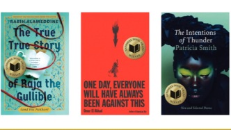 2025美國(guó)國(guó)家圖書(shū)獎(jiǎng)揭曉：今天，文學(xué)能做什么？