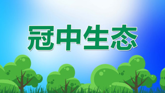 冠中生态：因工程款纠纷被申请财产保全，公司募资专户2885.4万元遭冻结