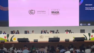 COP30峰會閉幕，通過有關(guān)氣候行動總體協(xié)議