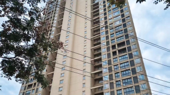 影子调查｜85套法拍房办证难背后：部分购房者先遇烂尾，筹款自救后又遭法拍