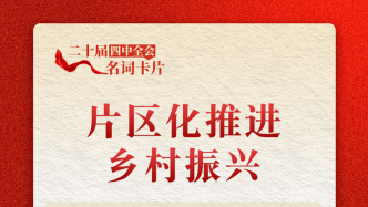 二十届四中全会名词卡片：片区化推进乡村振兴