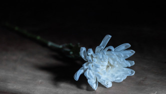 青年数学学者、西电副教授宁万涛逝世，年仅44岁