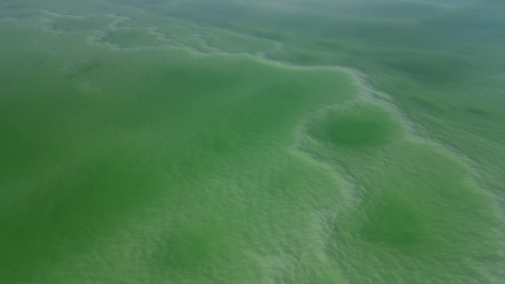 大美中国｜新疆罗布泊盐湖初冬“盐花”盛放 ，碧如翡翠美不胜收