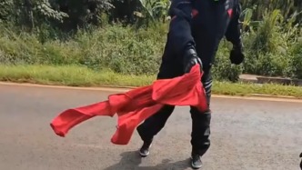 老人遭“殺人蜂” 圍攻躲進(jìn)電動(dòng)車圍擋，路過摩友冒險(xiǎn)施救，事后僅說是“順手的事”