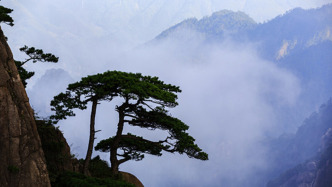 原兰州军区空军副参谋长张桂文逝世，曾发射开国大典第一颗礼花