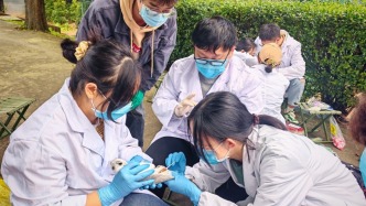 昆明一机构对越冬红嘴鸥开展疫源疫病监测，采样后放飞