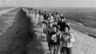 上海相冊V③｜大地，江河