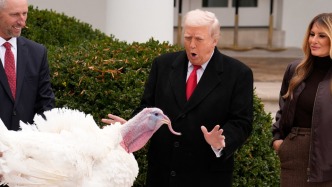 特朗普宣布“特赦”，火鸡突然大叫